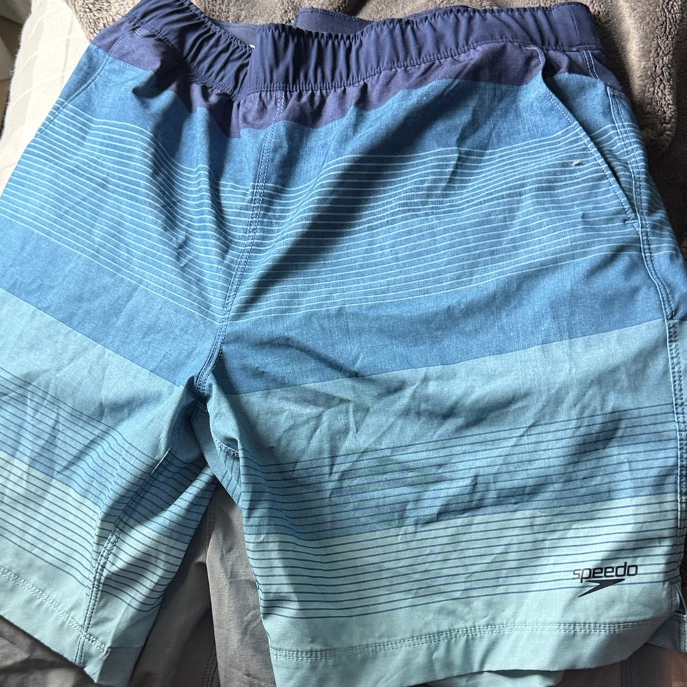 Speedo Men's Gradient Blue Athletic Shorts